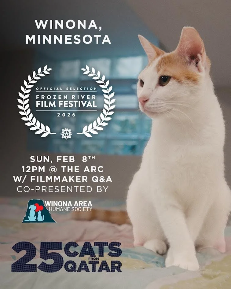“25 Cats from Qatar” screening at Frozen River Film Festival