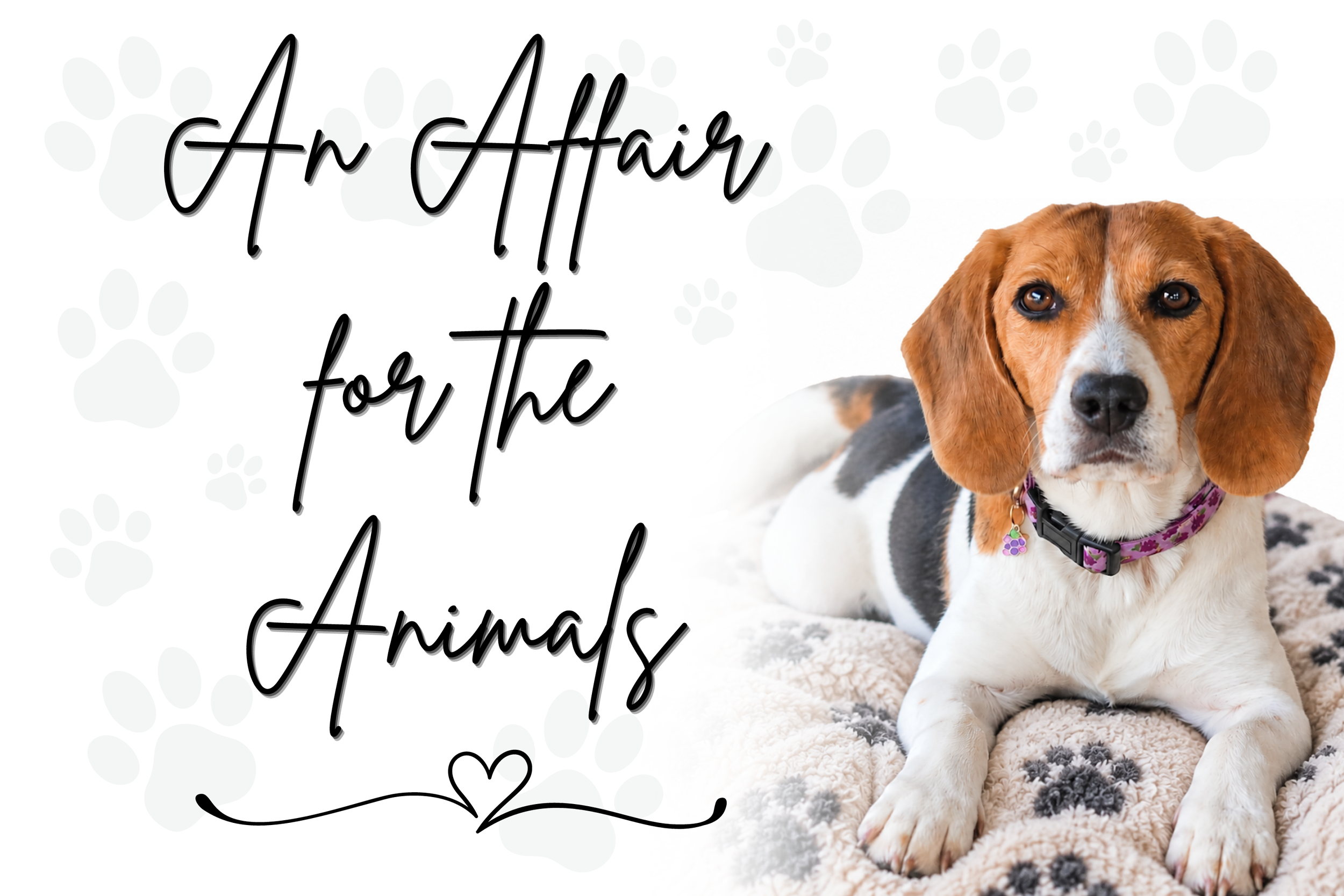 An Affair for the Animals