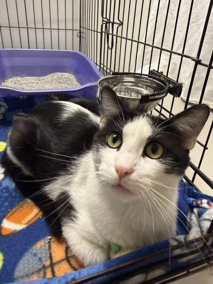 IMG_2485.jpg