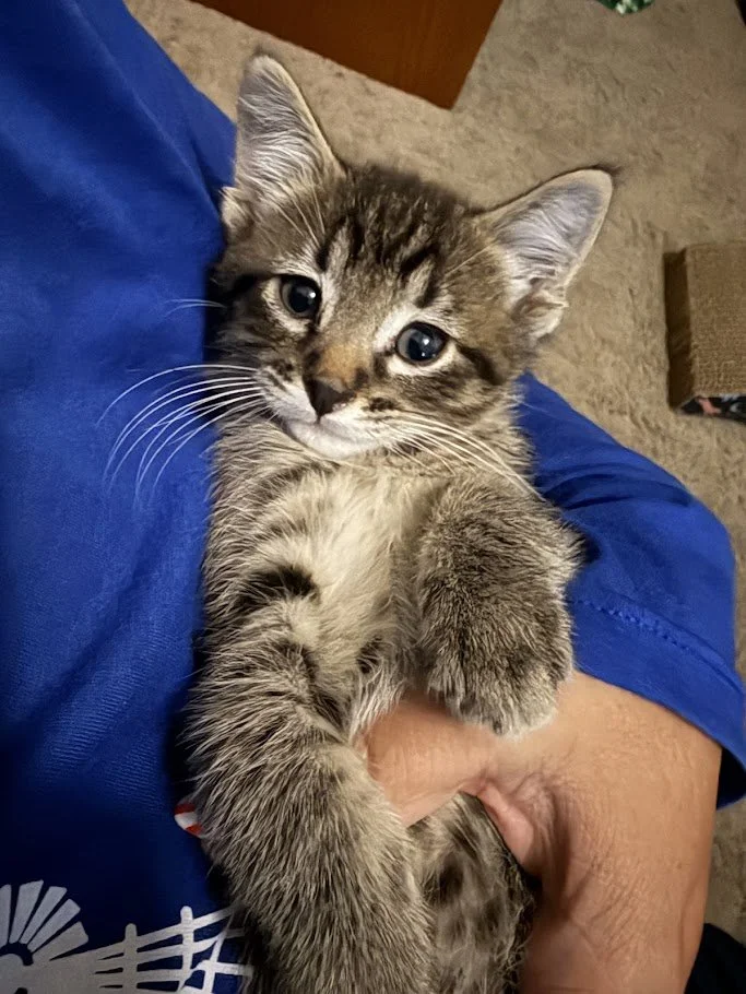 Morty