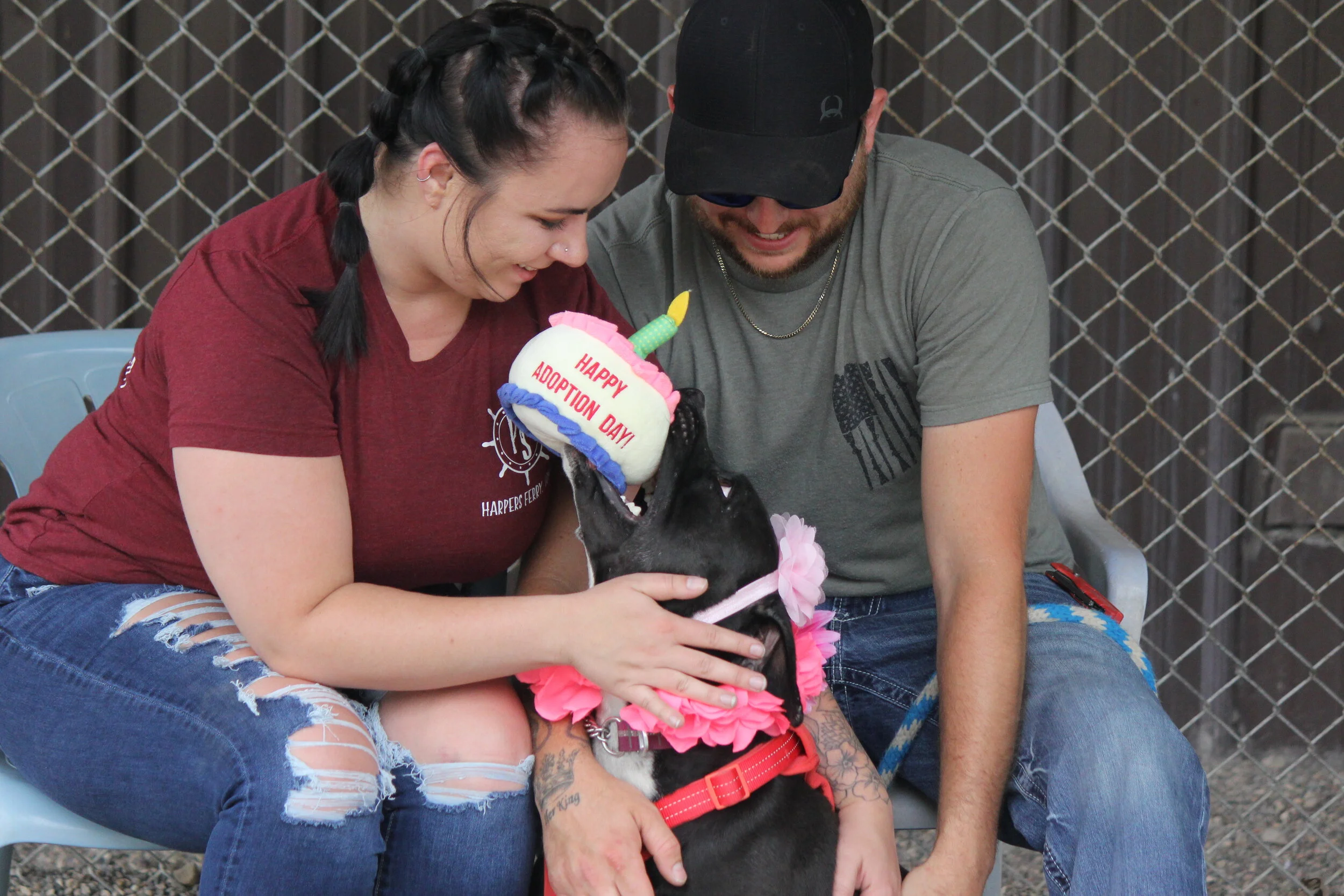 Adopt a Forever Friend - Winona Area Humane Society | Winona, MN