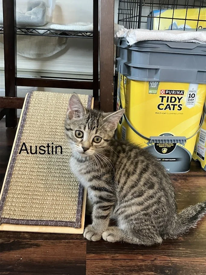Austin