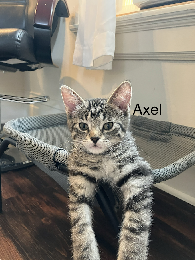 Axel