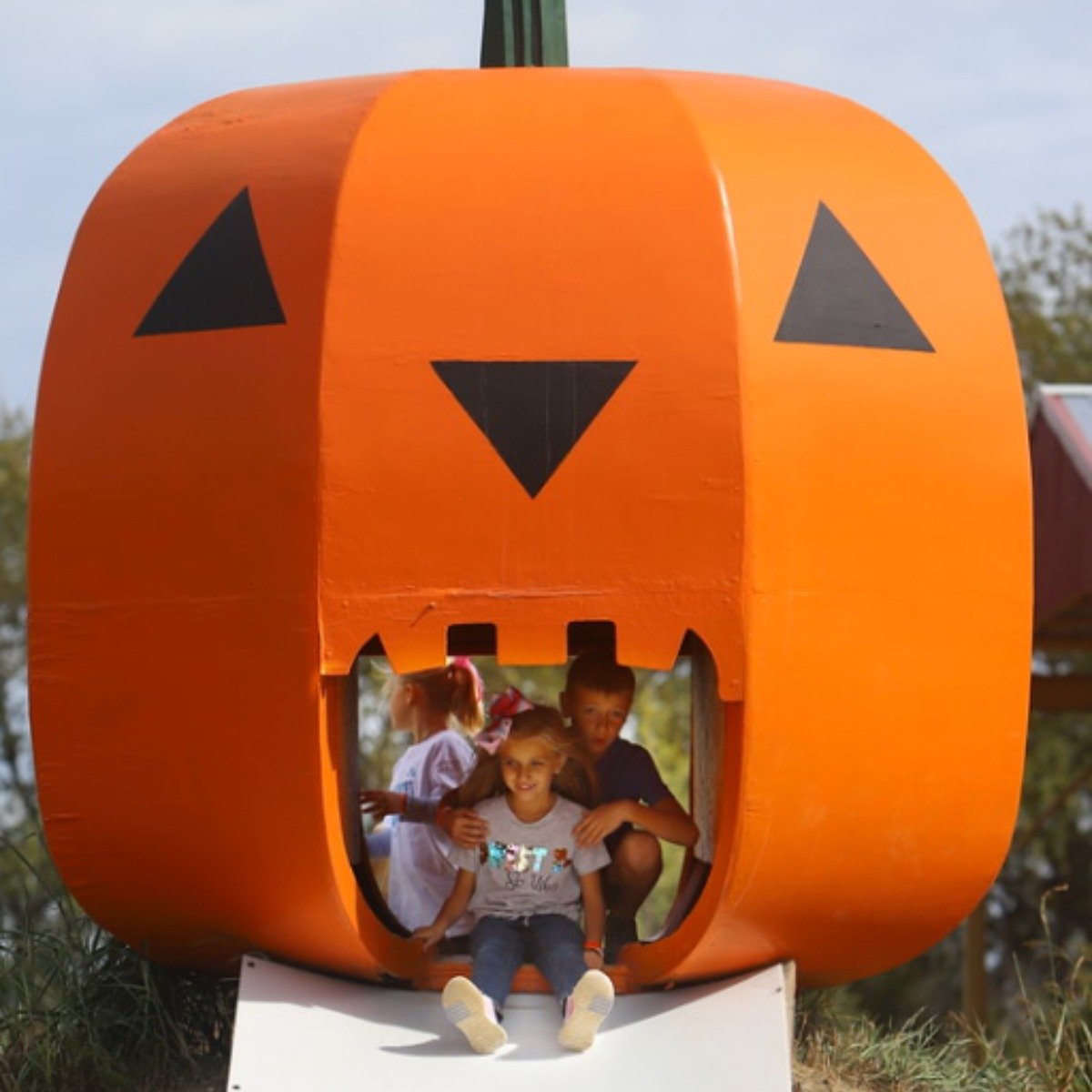 pumpkinslide6.jpg