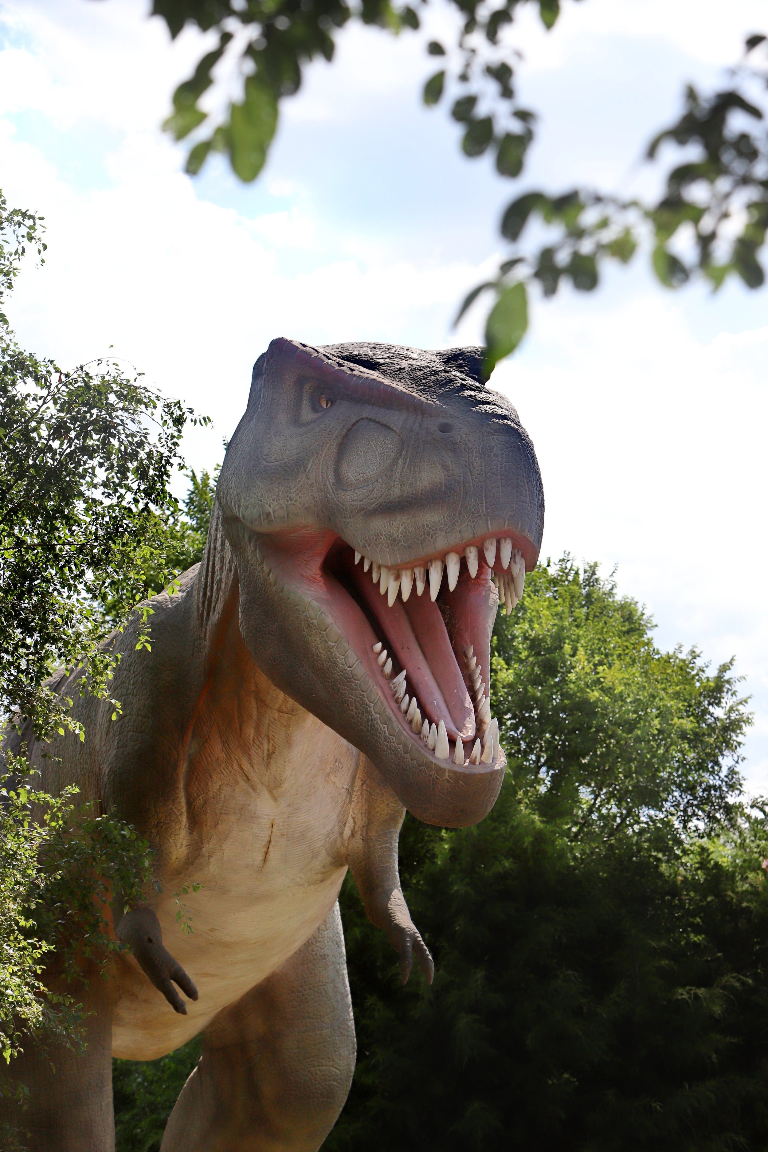 The Best Summer Day Trip from Leawood, KS: Roars &amp; Rainbows at KC Pumpkin Patch