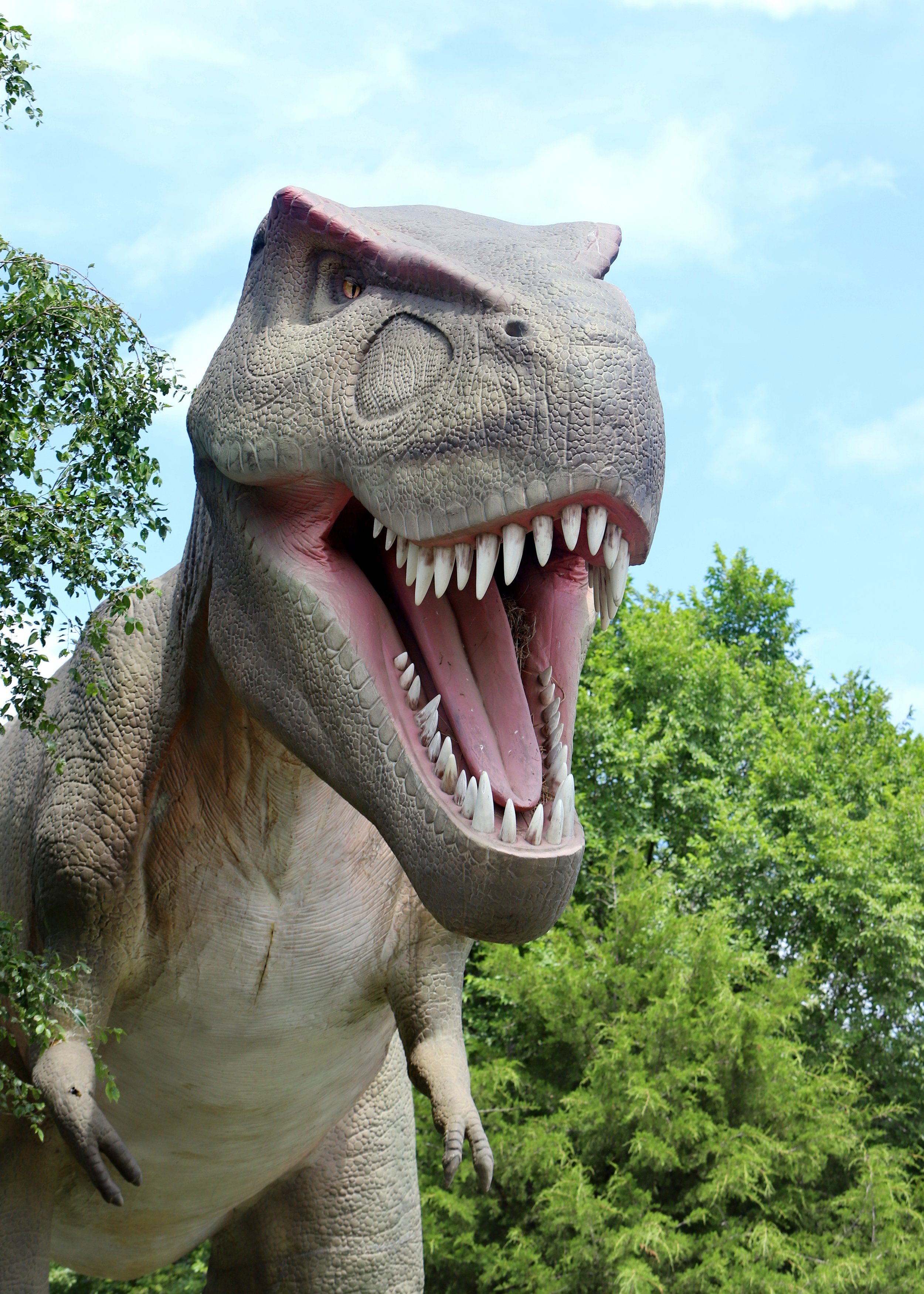 2025-06-14 KCWC Jurassic 6006E.jpg