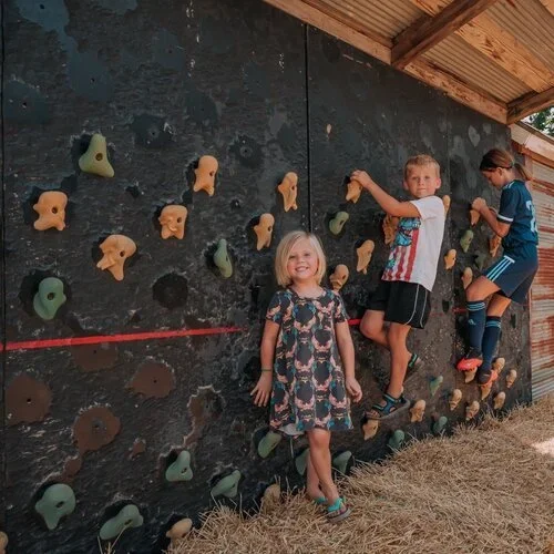 rock+climbing+wall+kansas+city.webp
