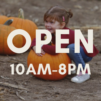 Fall Festival