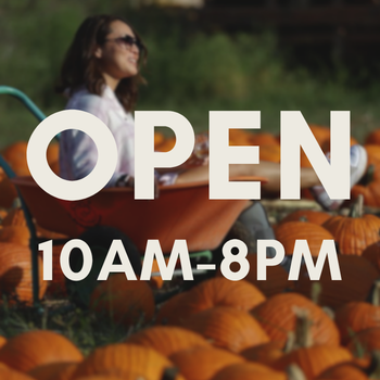 Fall Festival