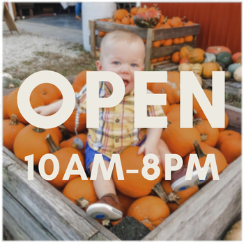 Fall Festival