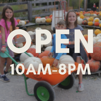 Fall Festival 