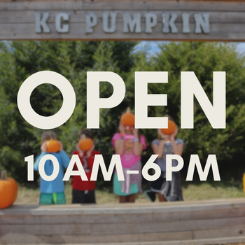 Fall Festival 
