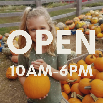 Fall Festival