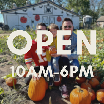 Fall Festival