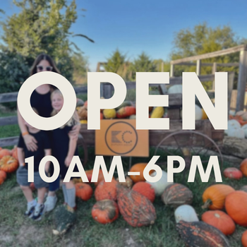 Fall Festival