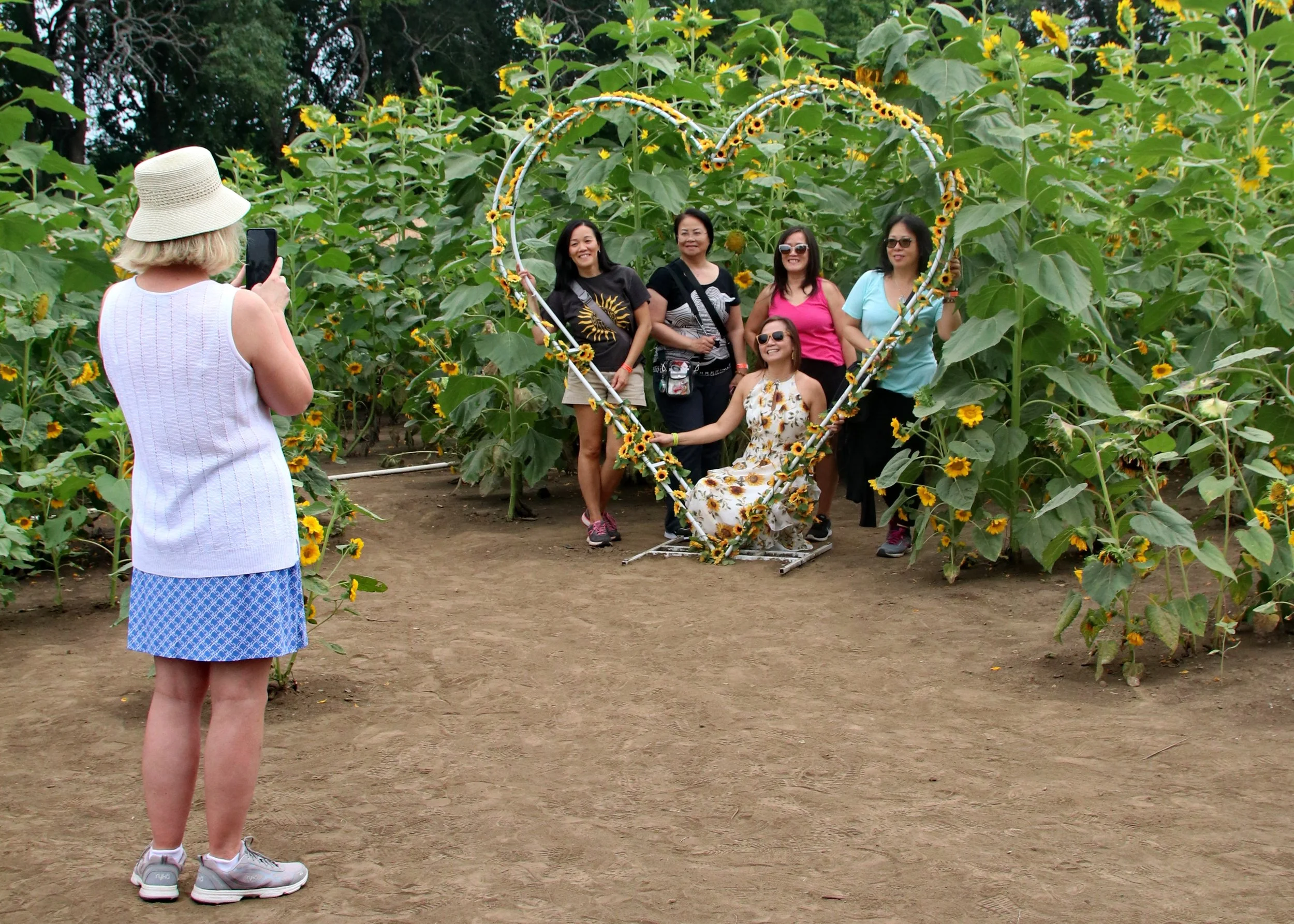 Sunflower Festival: Summer Farm Fun &amp; Flower PHoto Ops