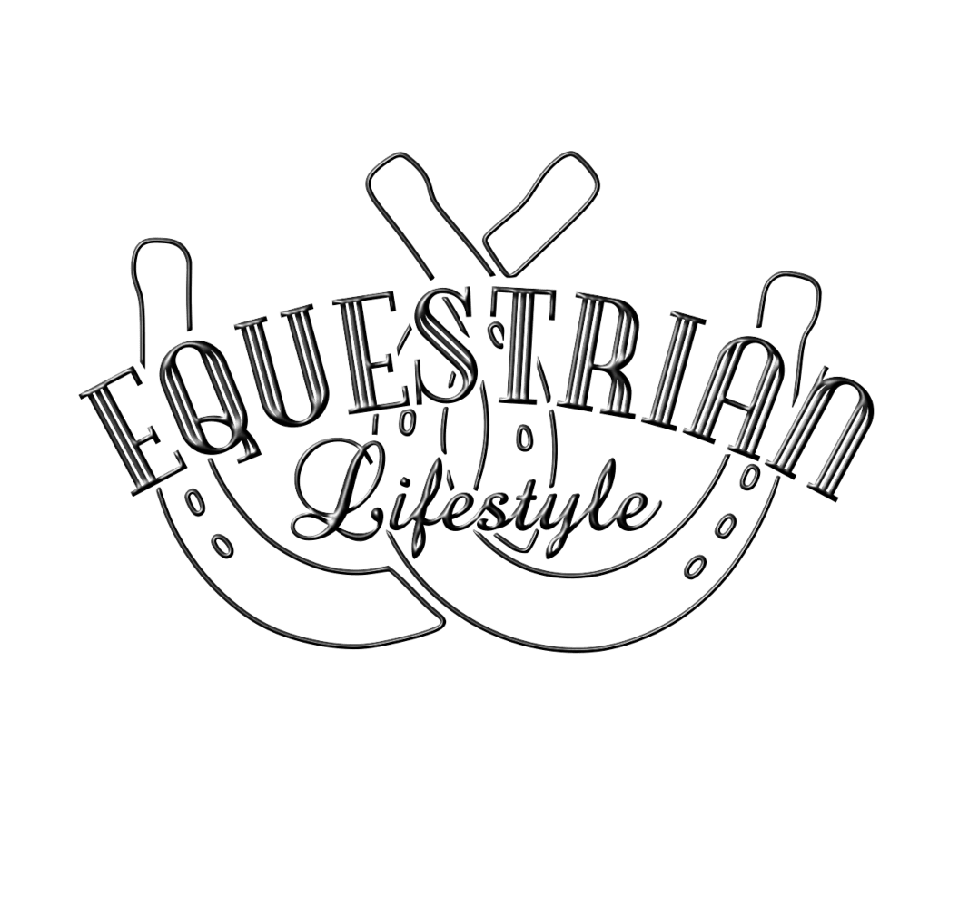 Gameday Vintage Equestrian Tee - Equestrian Lifestyle Clothing