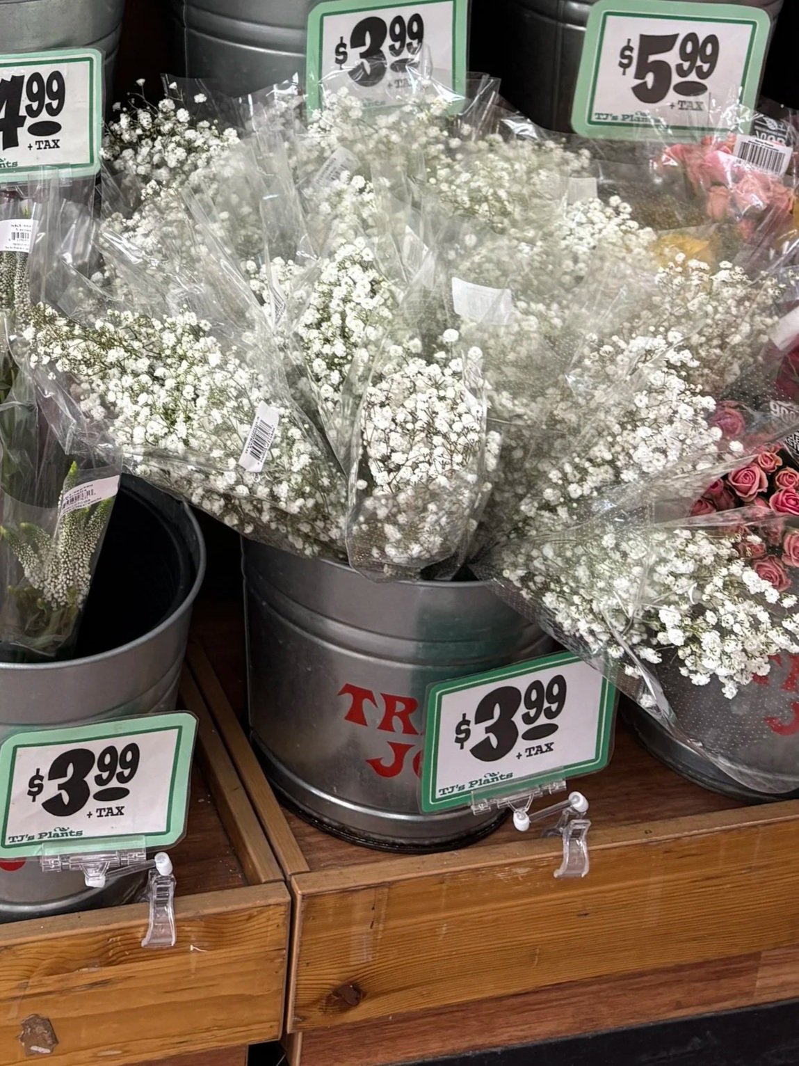 25 stems babys breath