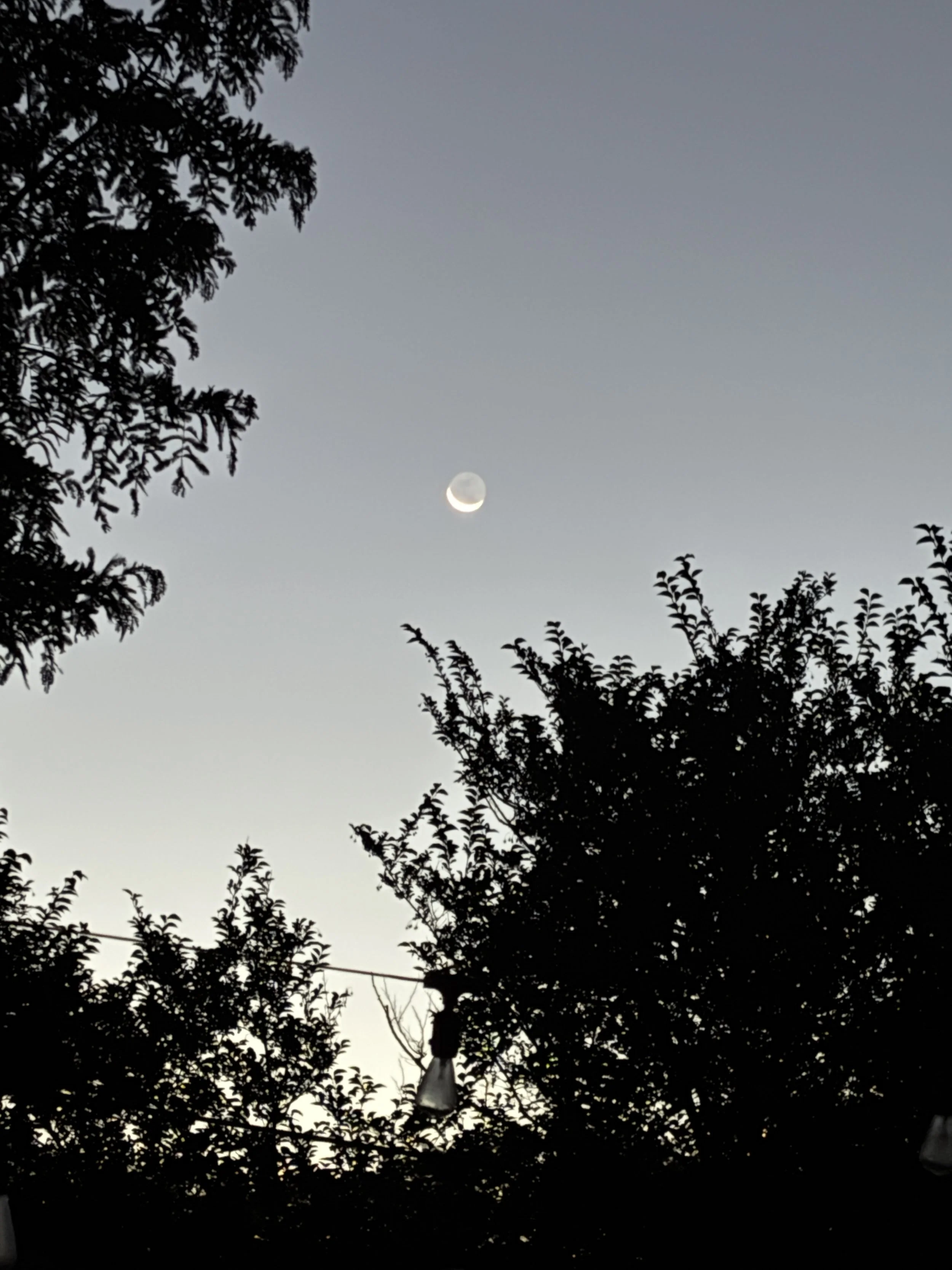 IMG_8043.JPG