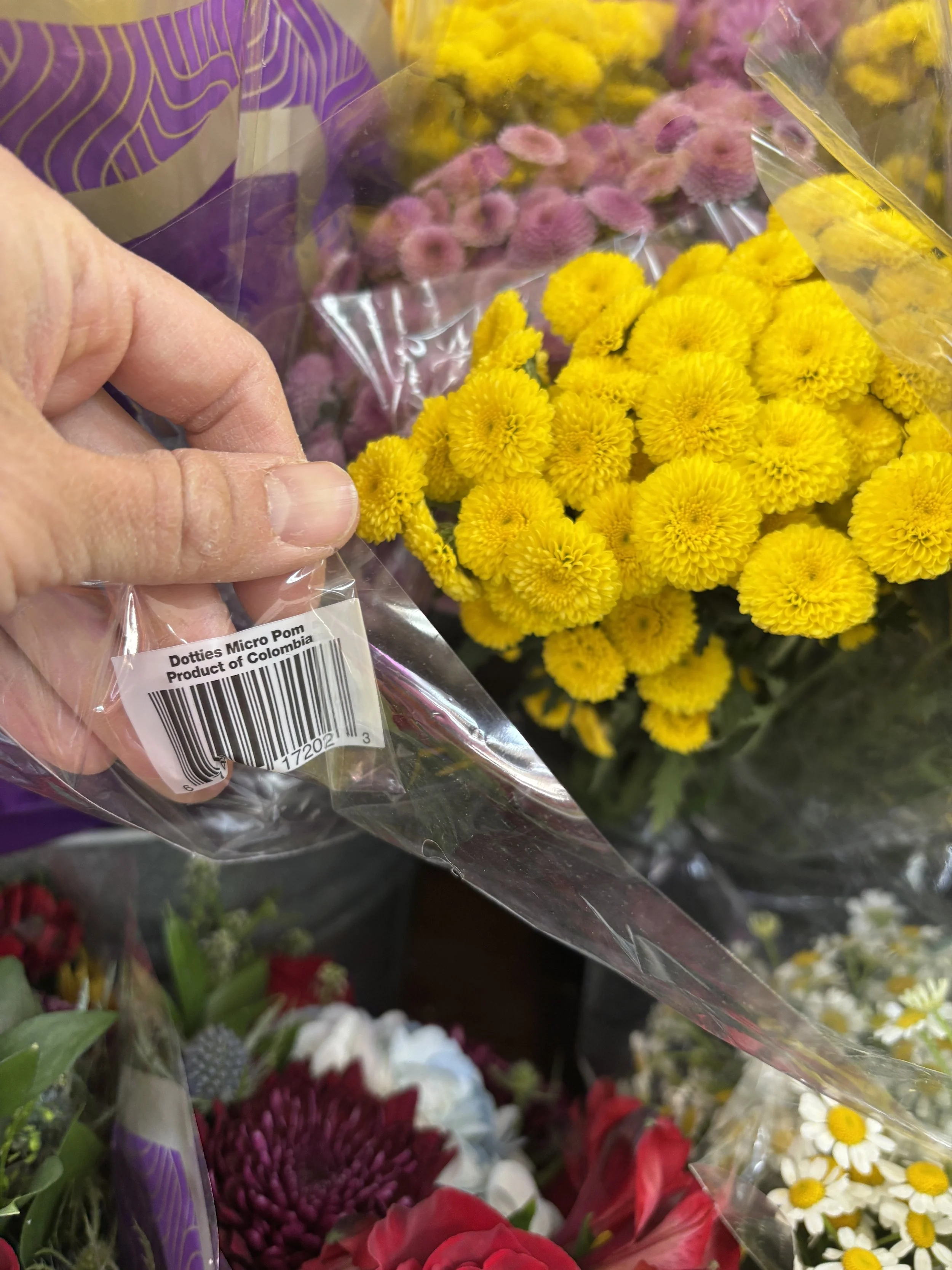 these could be nice accents