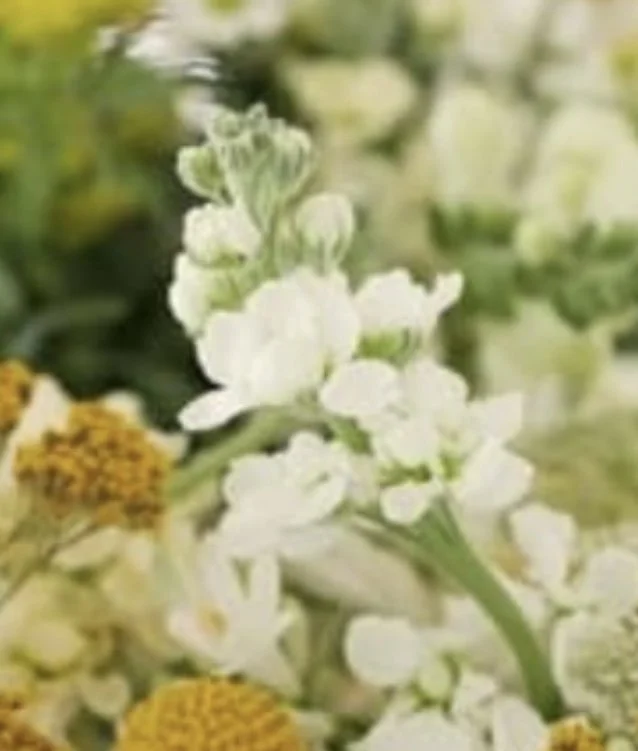 white flowers like this 2-3 stems per vase