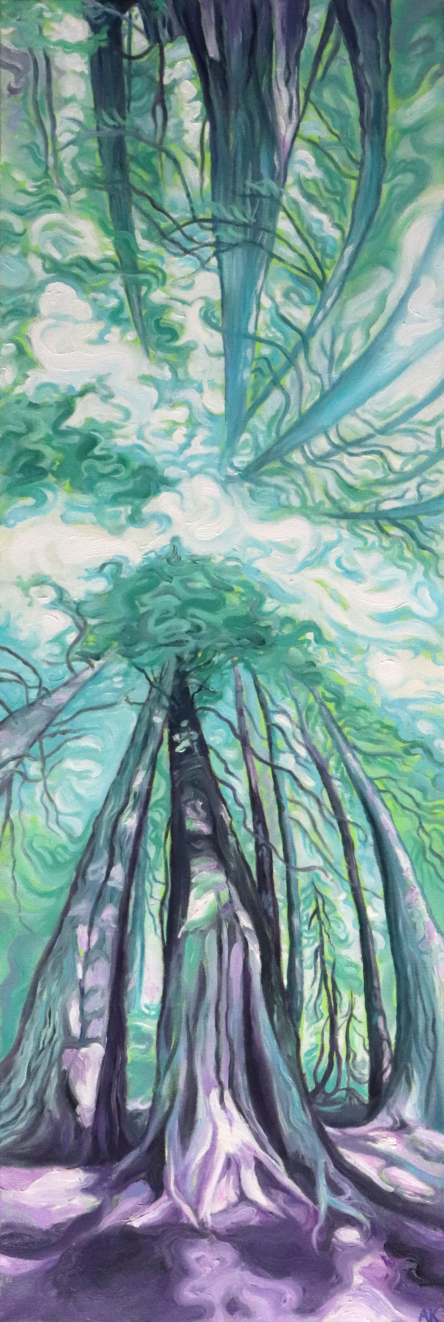 Old_Growth_Canopy.jpg