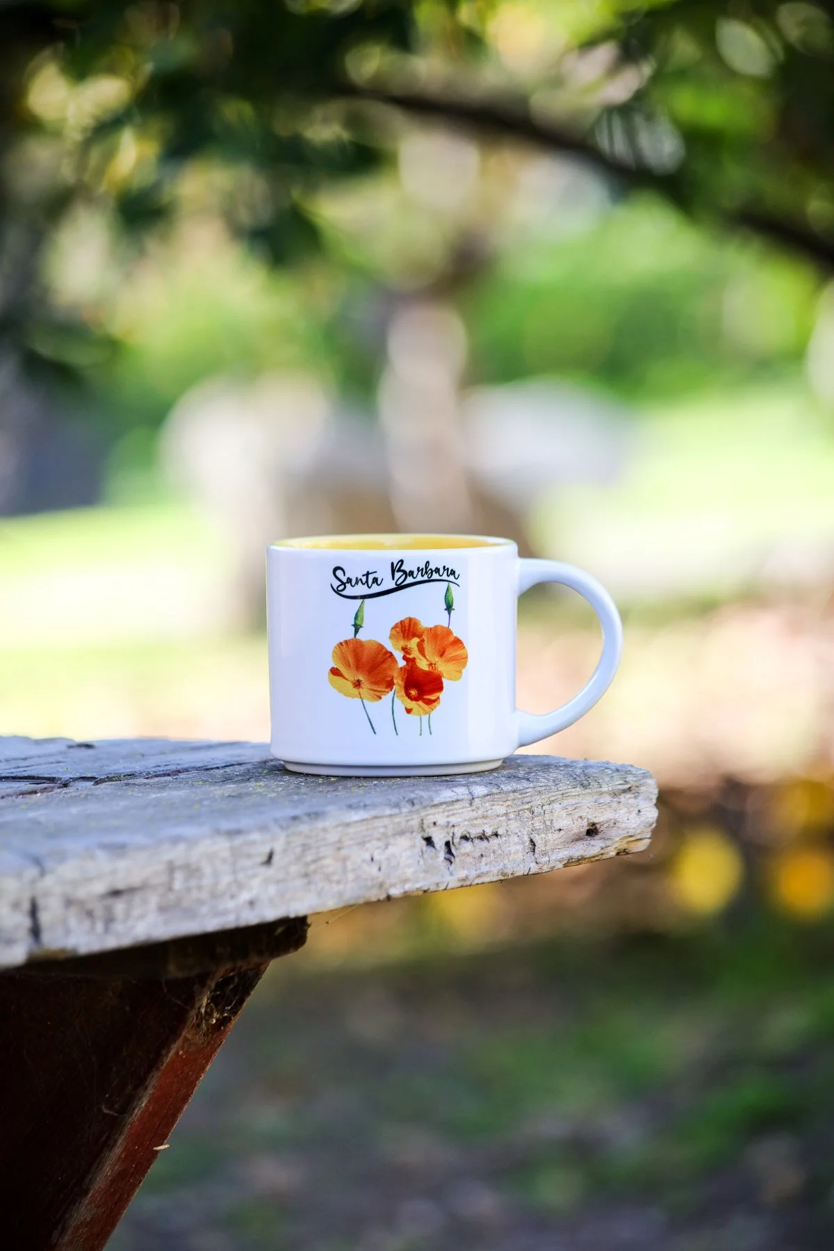 SBCeramicMugWCAPoppies.jpg