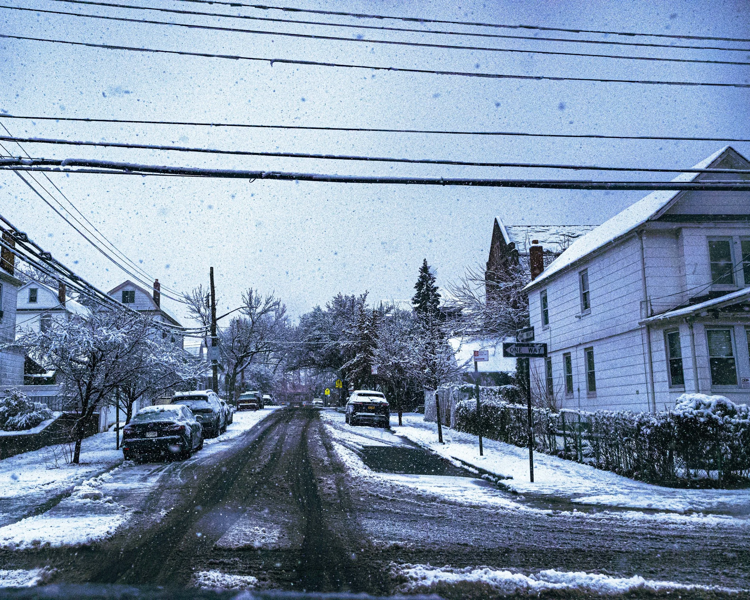 Elmhurst In The Snow - Rohan Jayawardana