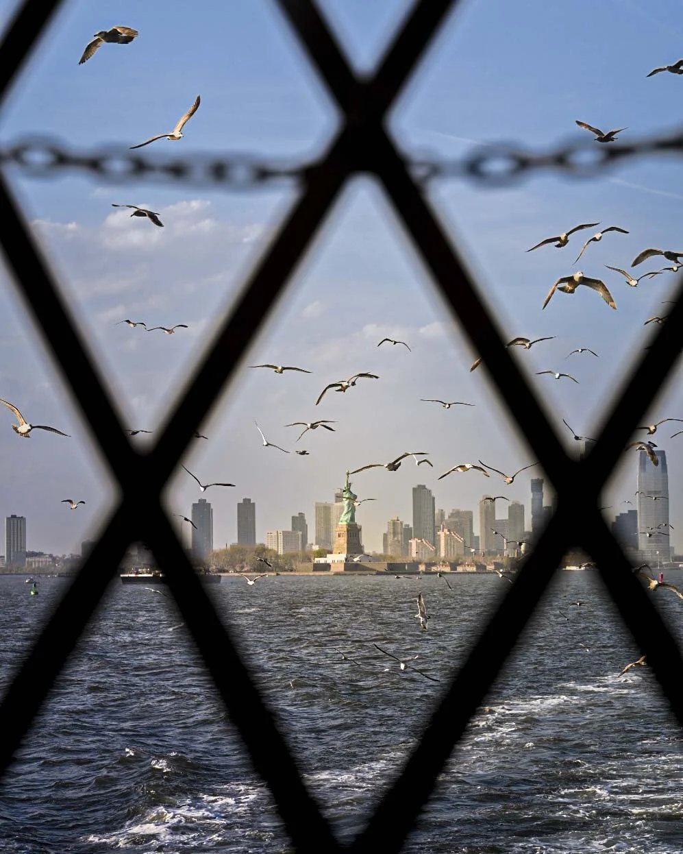 Caged Liberty - Katrina Zhao