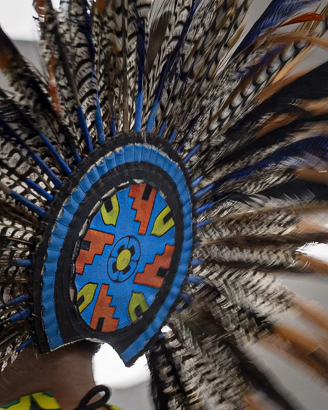 Feathers - Heidi Perez