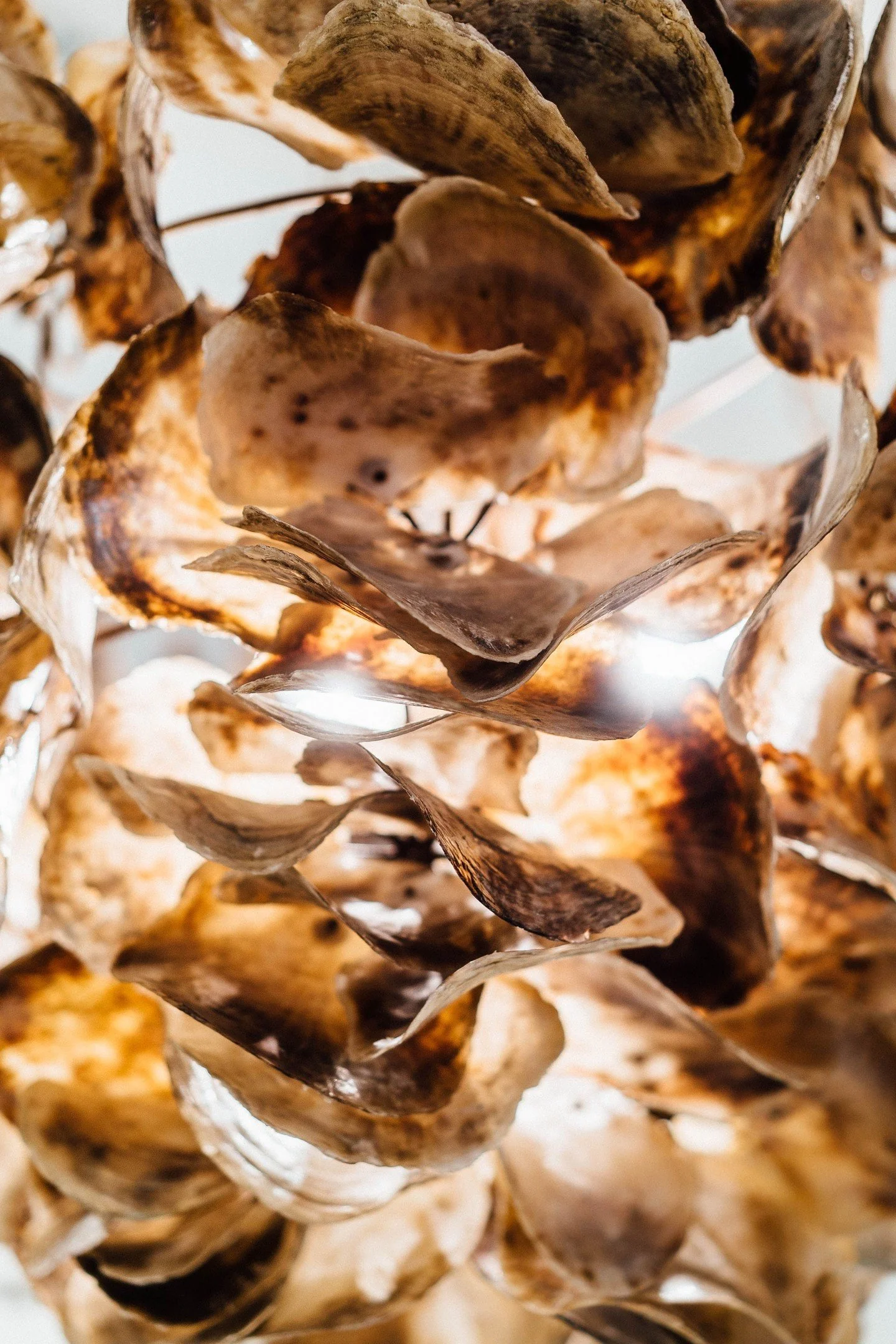 Unveiling your brilliance. ⚜️

Like a perfectly layered design, your firm has a distinctive story waiting to be celebrated. Public Relations is how you thoughtfully reveal those layers to the world.

The Dove Agency's PR services help you cut through