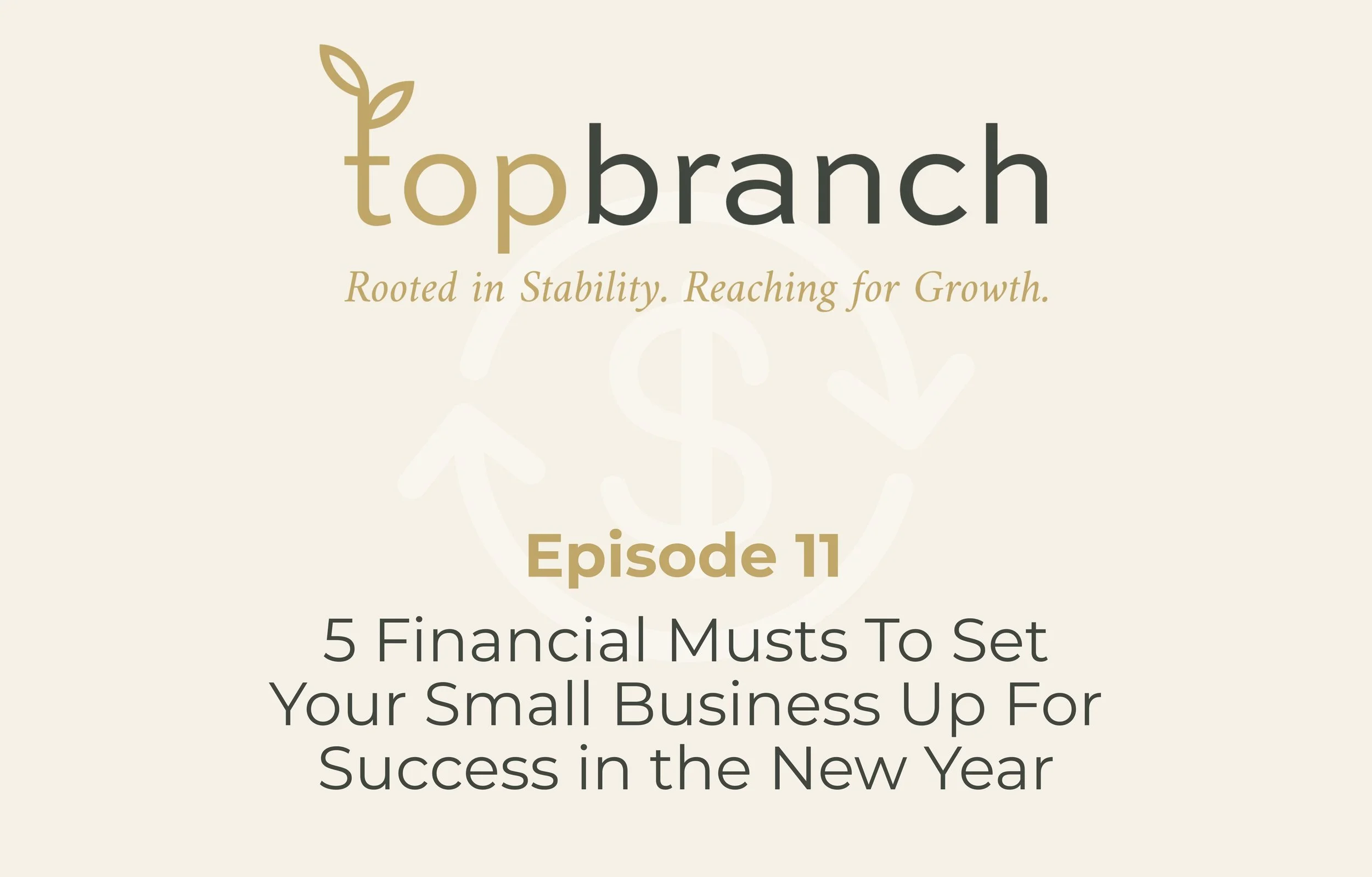 Episode Eleven | 5 Financial Musts to Set Your Small Business Up for Success in the New Year