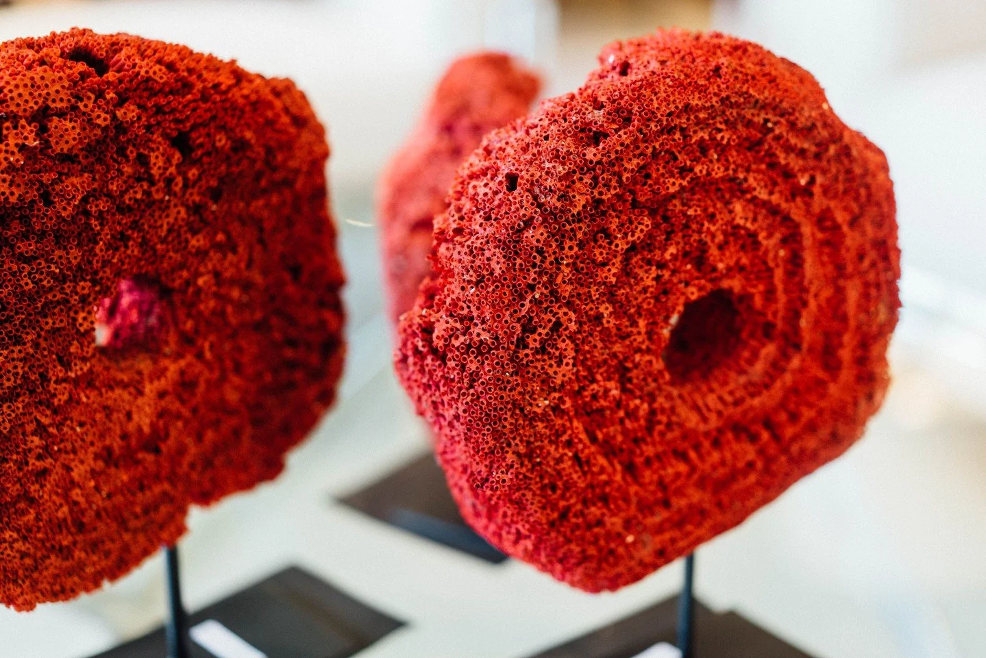 Order in the details, peace of mind in the results. ❤️

Our bookkeeping services create organization and transparency for your business. From account reconciliations to hours tracking and invoicing, The Dove Agency ensures every transaction is precis