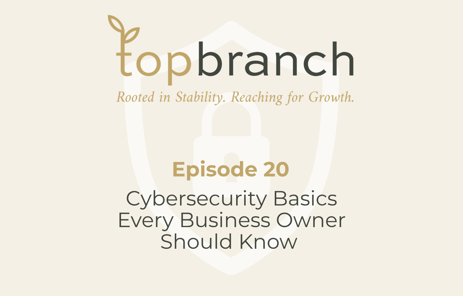 Episode Twenty | Cybersecurity Basics Every Business Owner Should Know