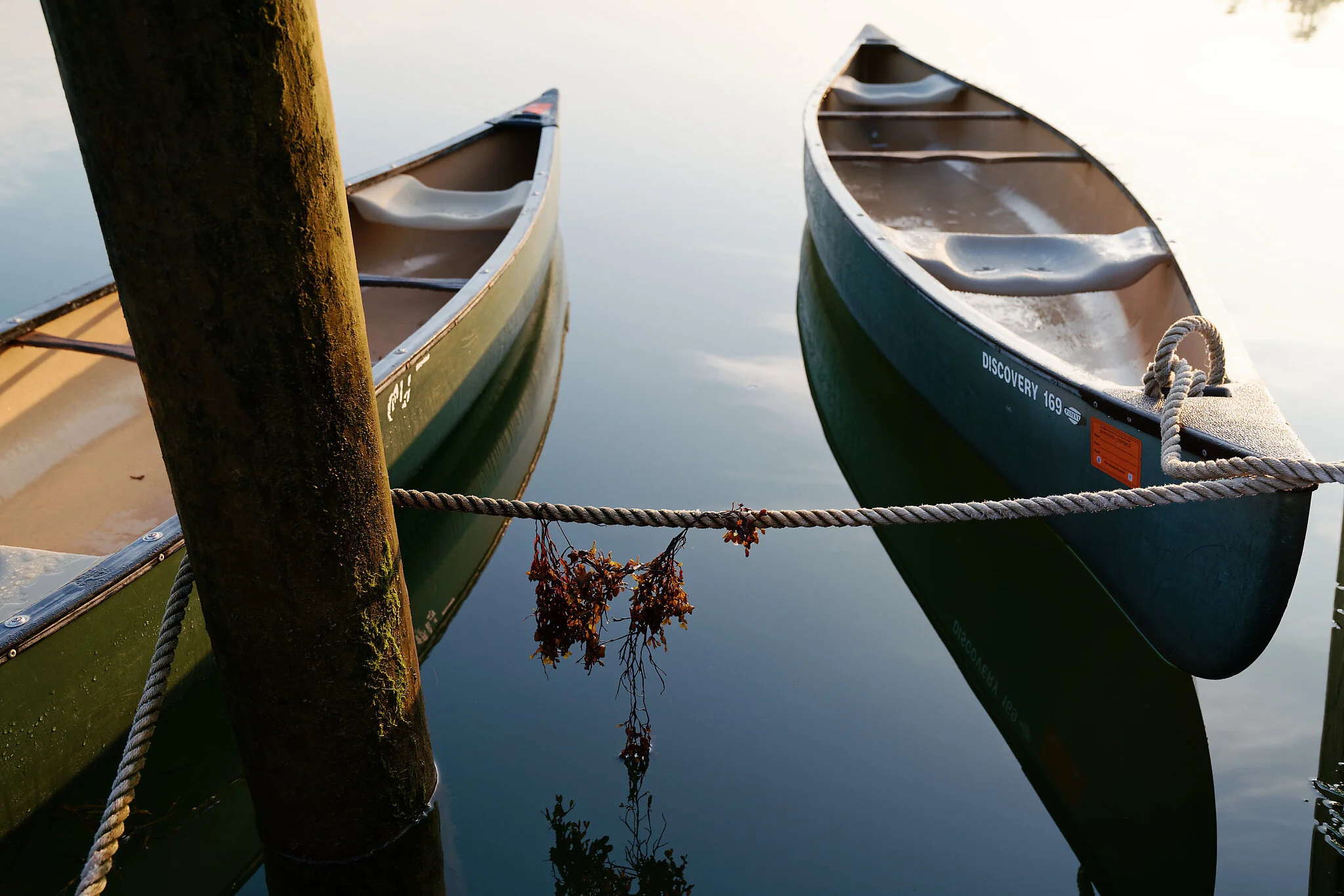 DSC03638_DxO resized 2018Canoes. Maine, 2018.   TW