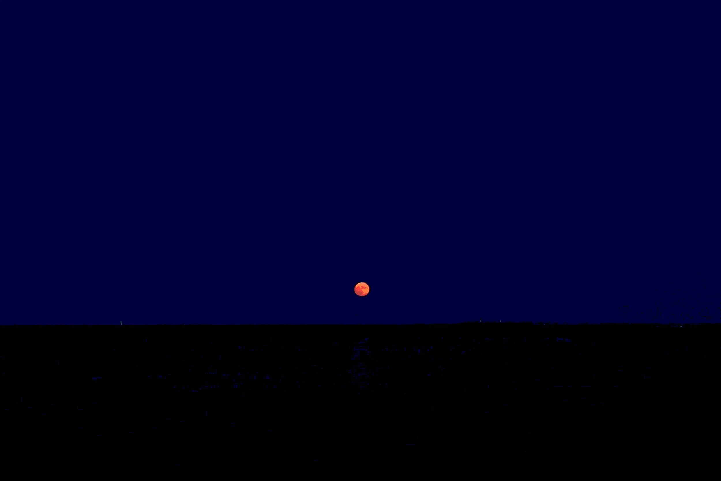 the Orange and the Moon