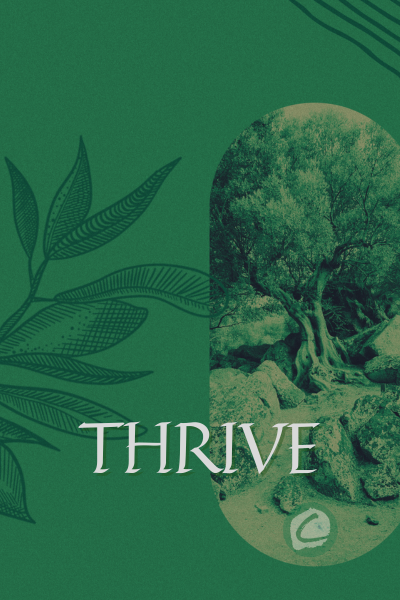 Thrive, pt. 1 : you are empowered episode artwork