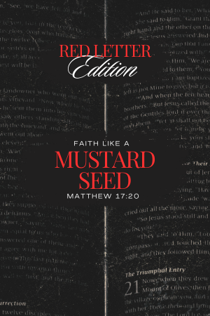 FAITH LIKE A MUSTARD SEED