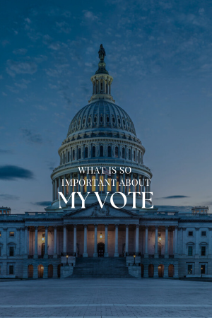 WHAT IS SO IMPORTANT ABOUT MY VOTE?