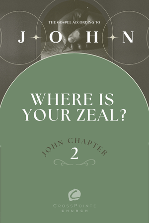 The Gospel of John: Where is Your Zeal? episode artwork