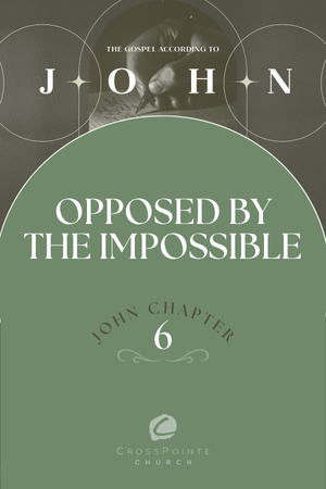 The Gospel of John: Opposed by the Impossible episode artwork
