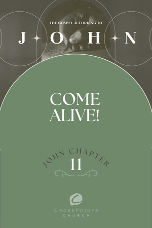 The Gospel of John: Come Alive! episode artwork