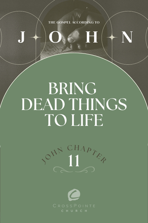 The Gospel of John: Jesus Brings Dead Things to Life episode artwork