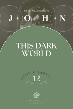 The Gospel of John: Light in a Dark World: Why the Church Must Stop Adjusting to the Darkness episode artwork