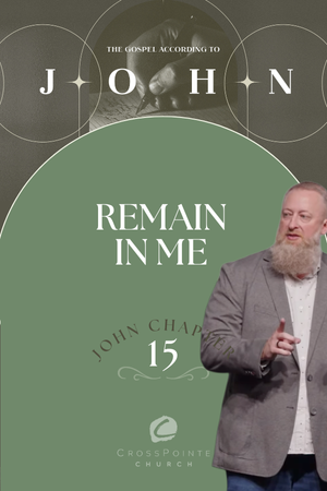 The Gospel of John: Remain In Me episode artwork
