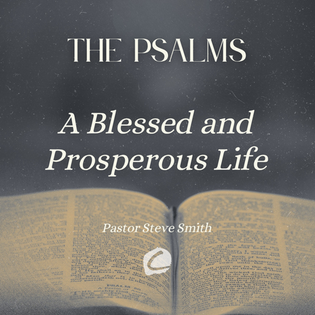 The Psalms - A Blessed and Prosperous Life