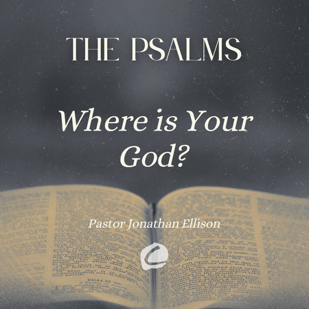 The Psalms - A Blessed and Prosperous Life