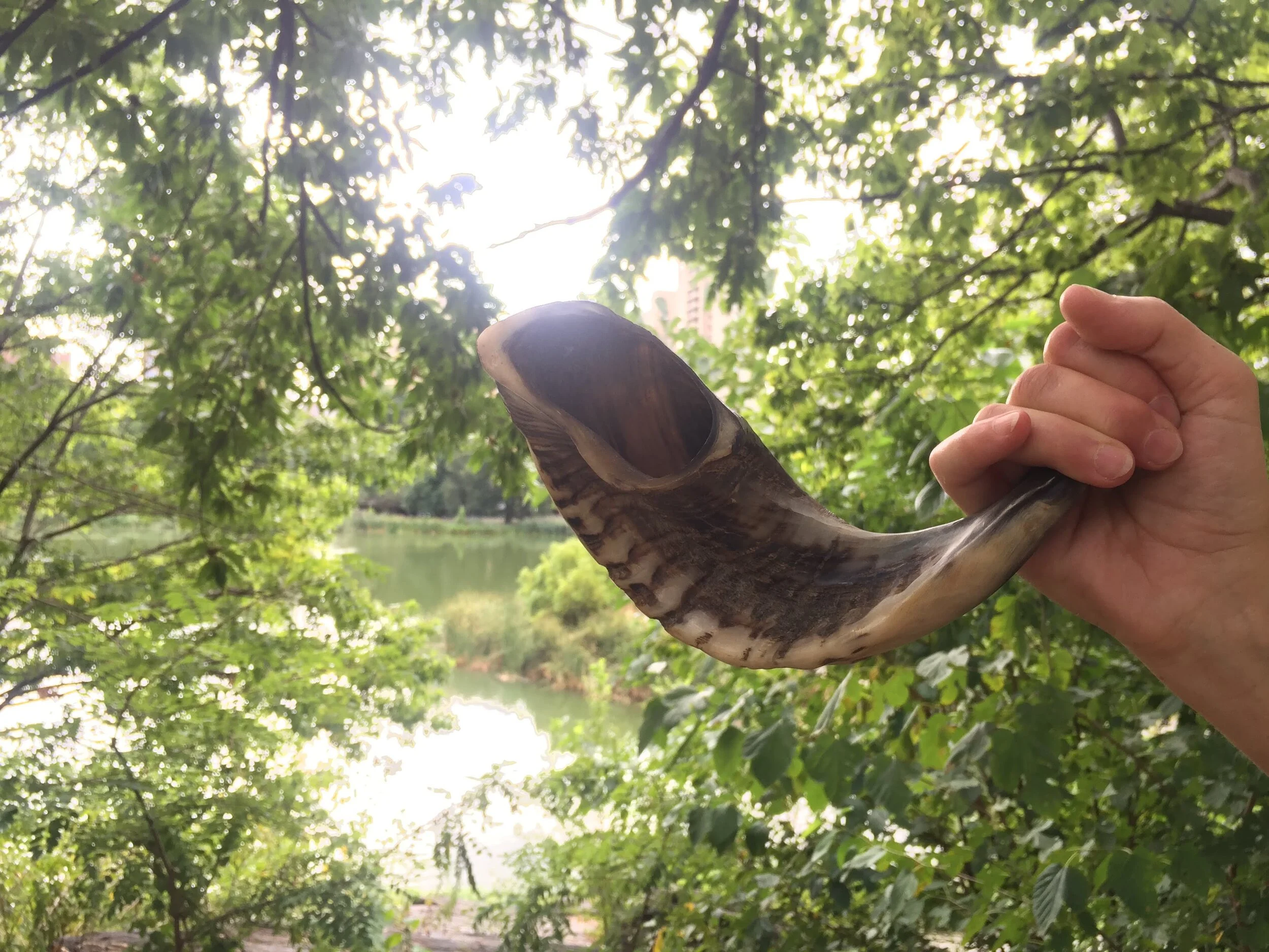 Especial de Rosh Hashaná: Año Nuevo, Página nueva; Vieja rabia, nueva etapa