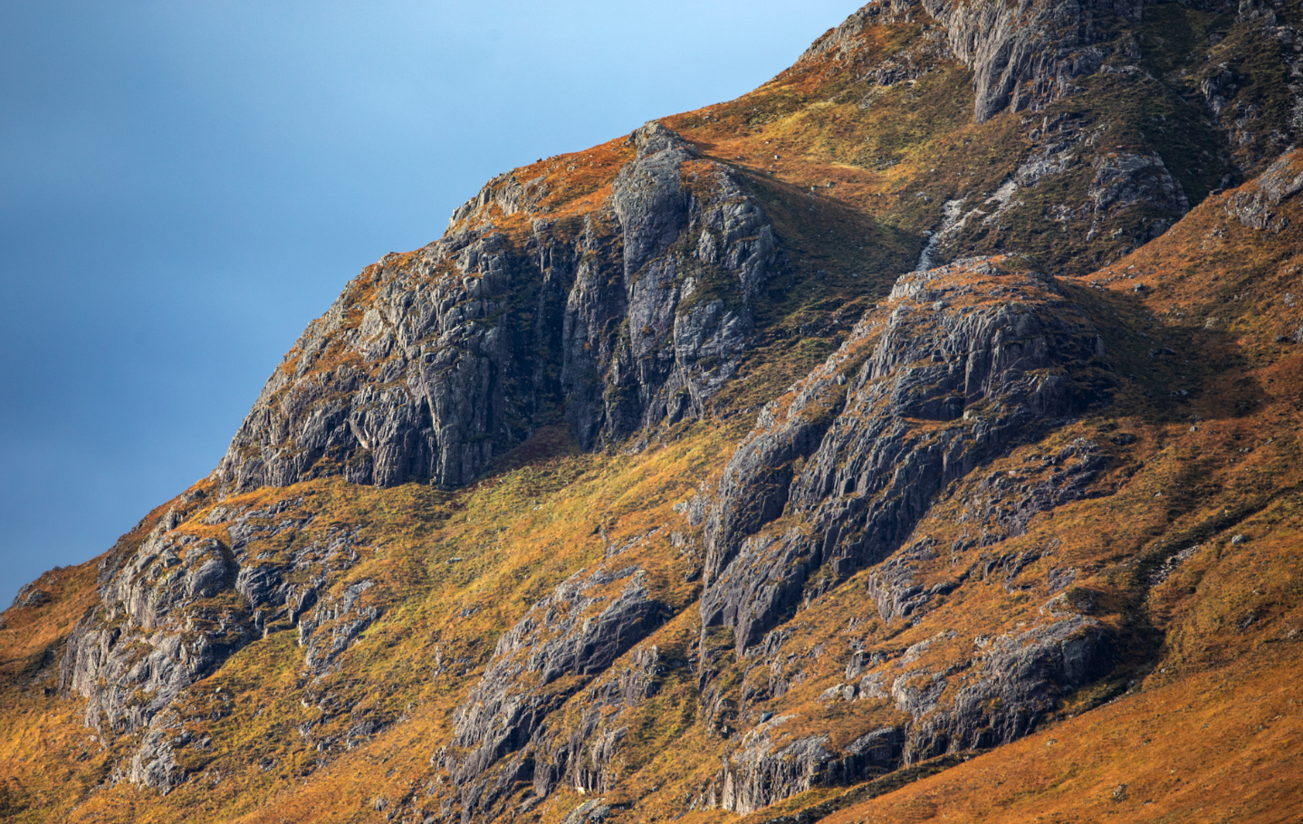 Screenshot 2025-02-25 at 11.16.36 PM.png