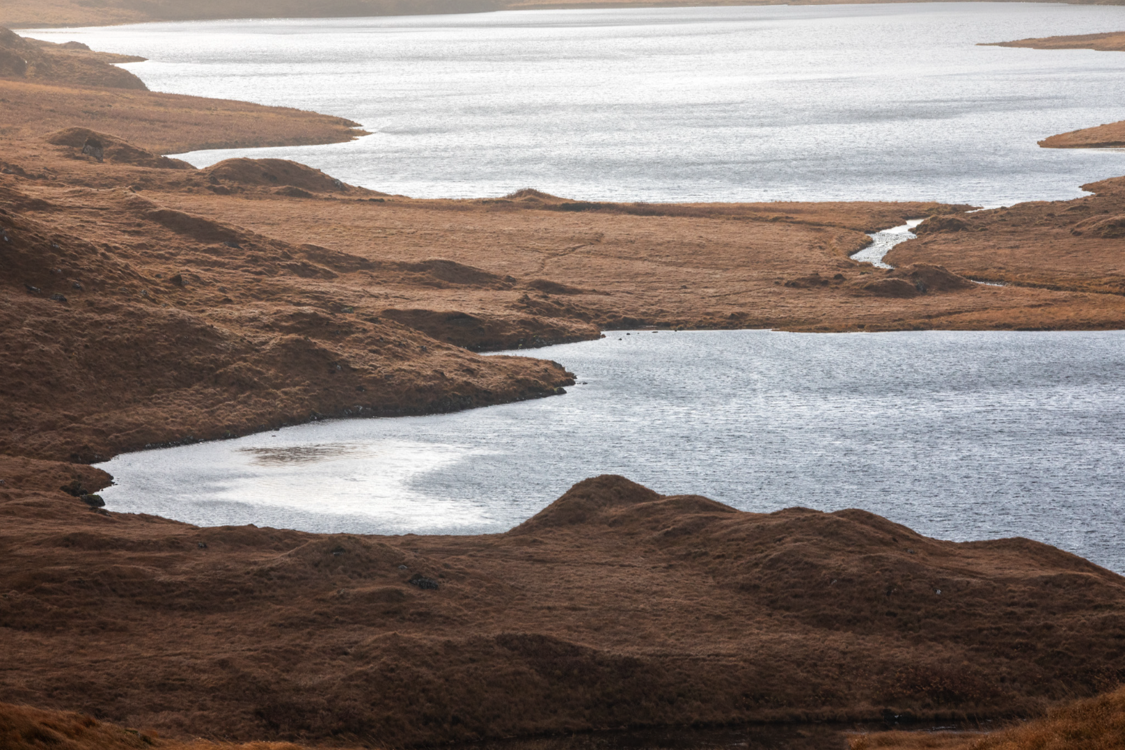 Screenshot 2025-02-25 at 11.21.16 PM.png